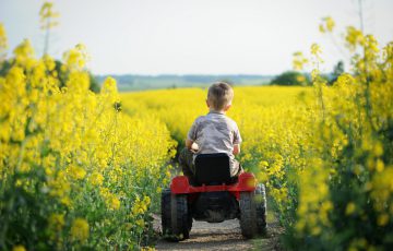 Ontwikkeling plantaardig eiwit