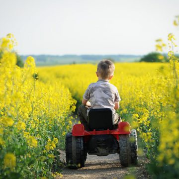 Ontwikkeling plantaardig eiwit