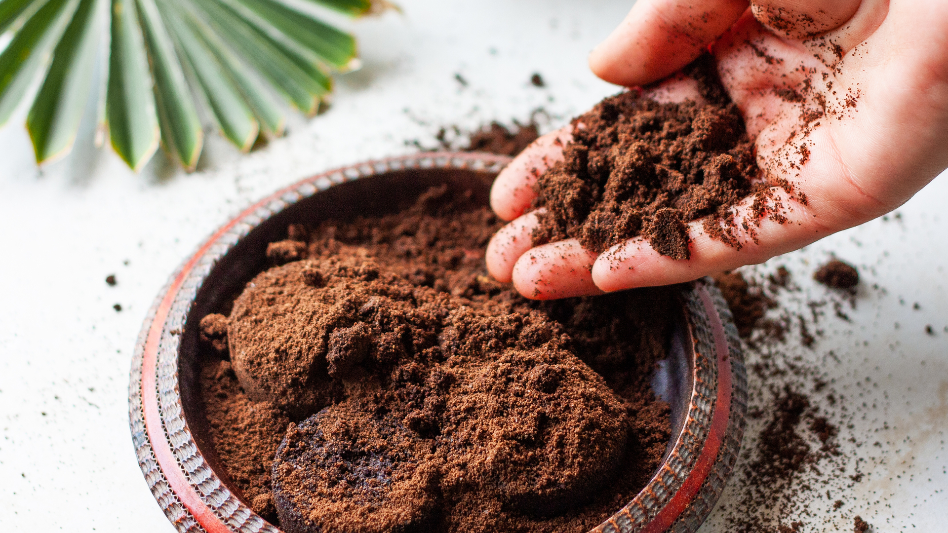 Used ground coffee sales
